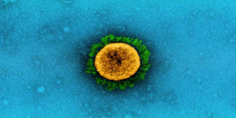 Delta Plus: Quali sono i pericoli del ceppo coronavirus indiano