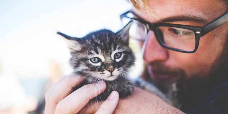 I gatti e i loro proprietari scientificamente hanno 5 tipi di relazioni