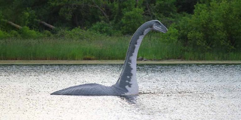 Come Si Chiama Il Mostro Di Loch Ness