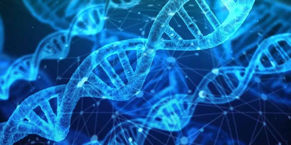 Scienza conferma Nel DNA umano esiste la telepatia