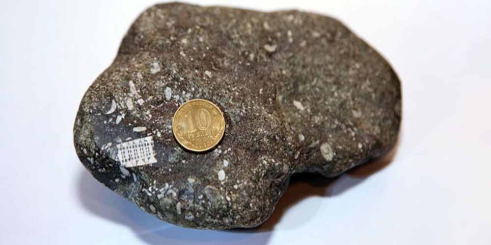 Un microchip ritrovato in una pietra antica