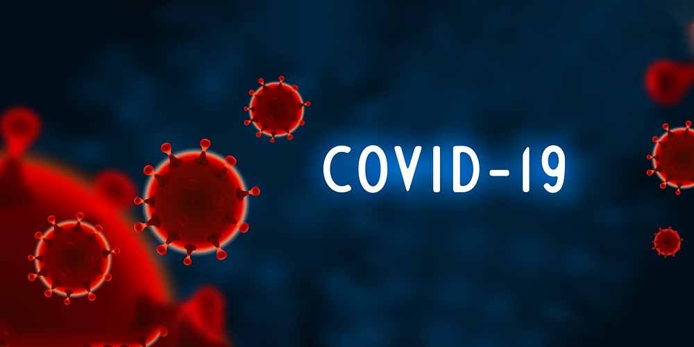 Gli indizi raccolti svelano il mistero del coronavirus