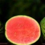 Anguria piu pericolosa di quanto si creda