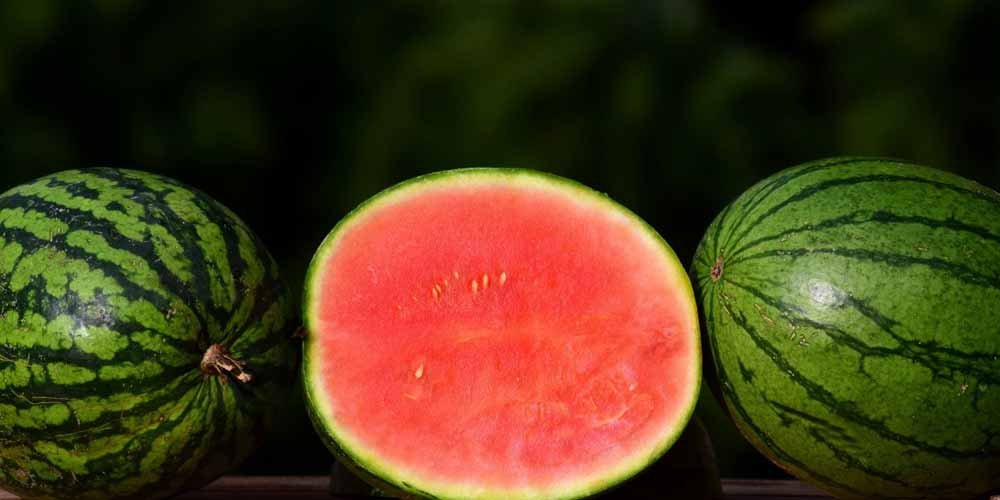 Anguria piu pericolosa di quanto si creda