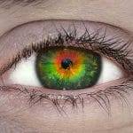 Impianto cerebrale fara vedere i non vedenti