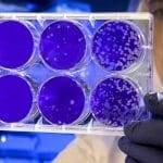 Nuovi incredibili virus arrivano da Artico