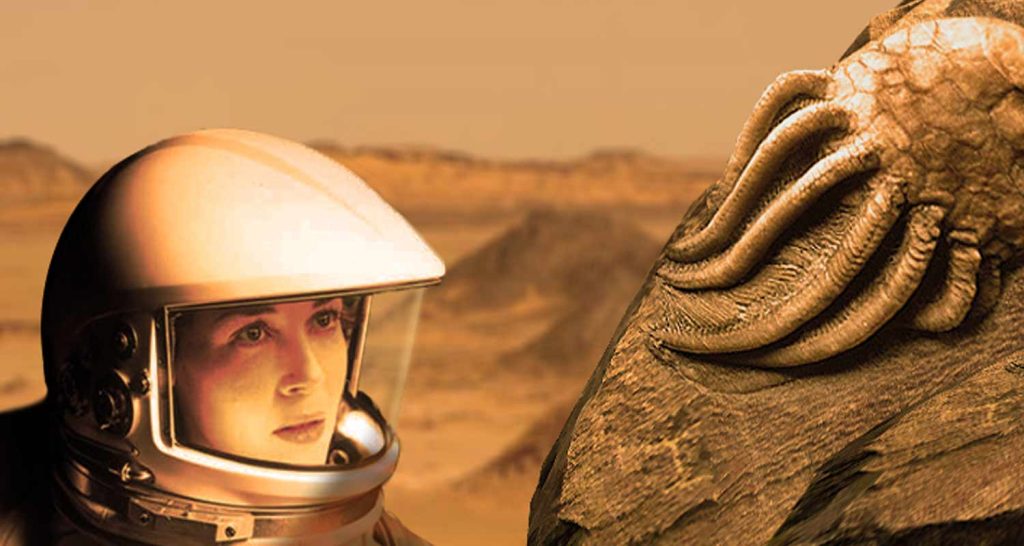 La vita aliena stata portata su Marte
