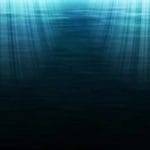 Non conosciamo tantissime creature che vivono nel profondo degli oceani