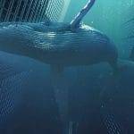 Appassionato Archeologo rivela di aver trovato una citta sommersa