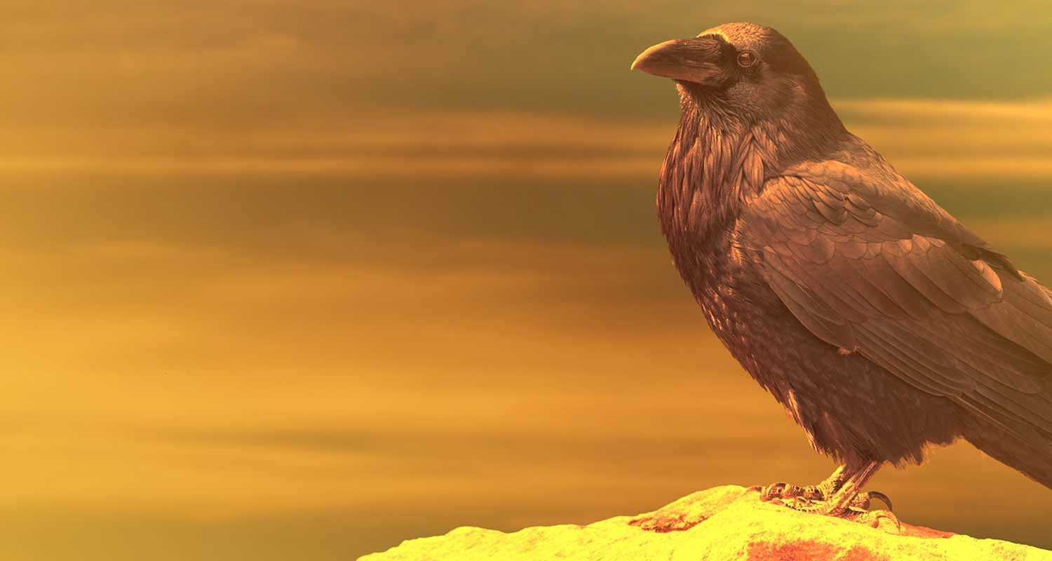 Gli uccelli sono simbolo di presagio di morte