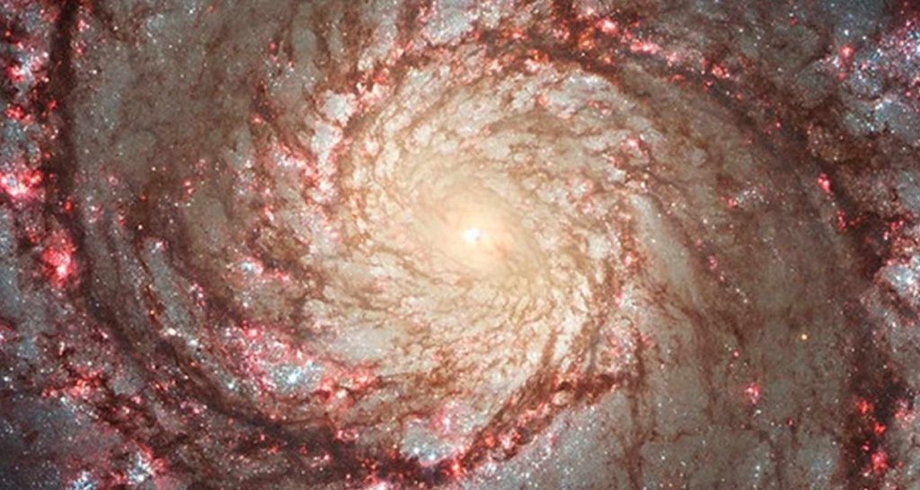 incredibile ammasso stellare fotografato da Hubble
