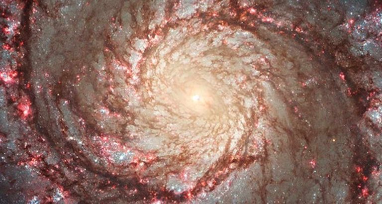 L’incredibile ammasso stellare fotografato da Hubble