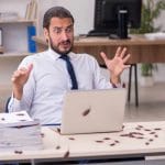 Negli Stati Uniti ti pagano per riempirti la casa di scarafaggi