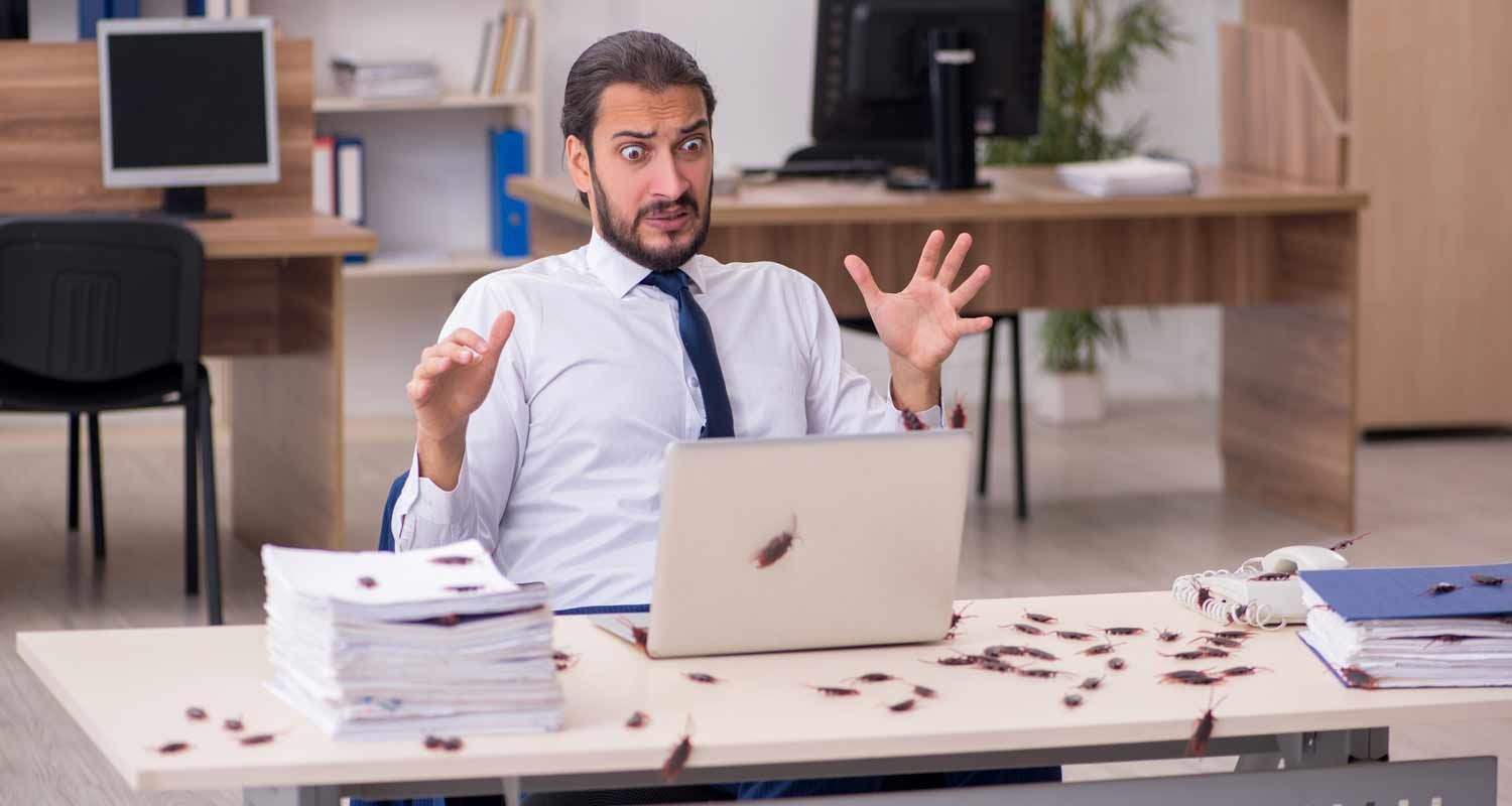 Negli Stati Uniti ti pagano per riempirti la casa di scarafaggi