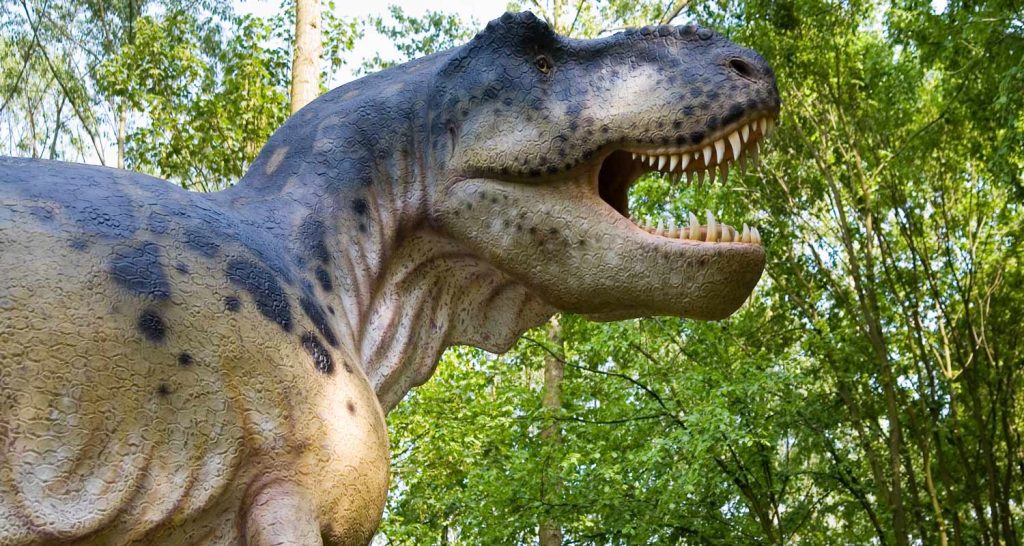 Ritrovato il piu grande dinosauro di Europa