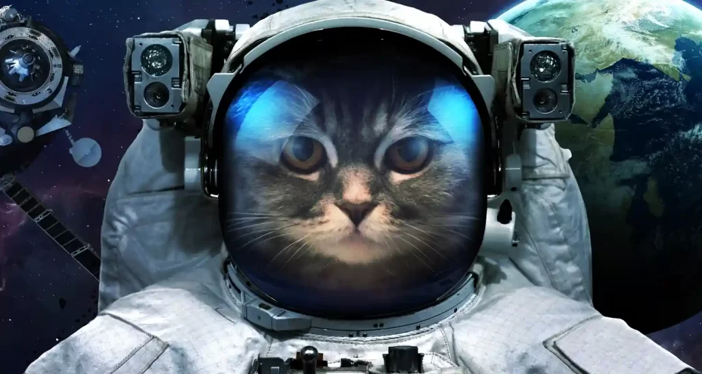 Studiosi definiscono i gatti Specie aliena invasiva