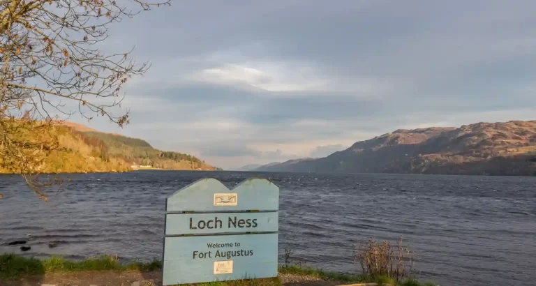 Stavolta è stato fotografato il mostro di Loch Ness, ma non è lui
