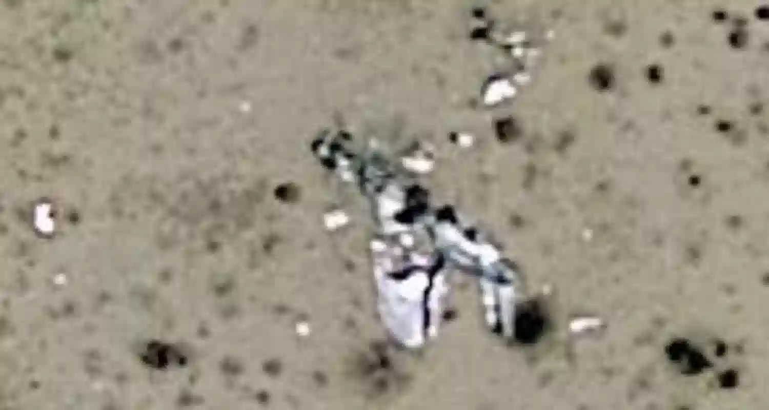 Un misterioso incidente aereo scovato su Google Maps