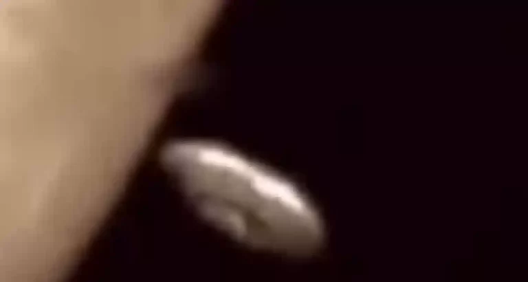 UFO catturato mentre sorvola la Luna, le immagini