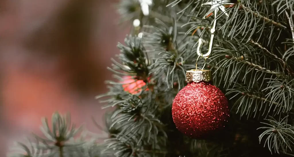 Come non far perdere gli aghi al tuo albero di Natale