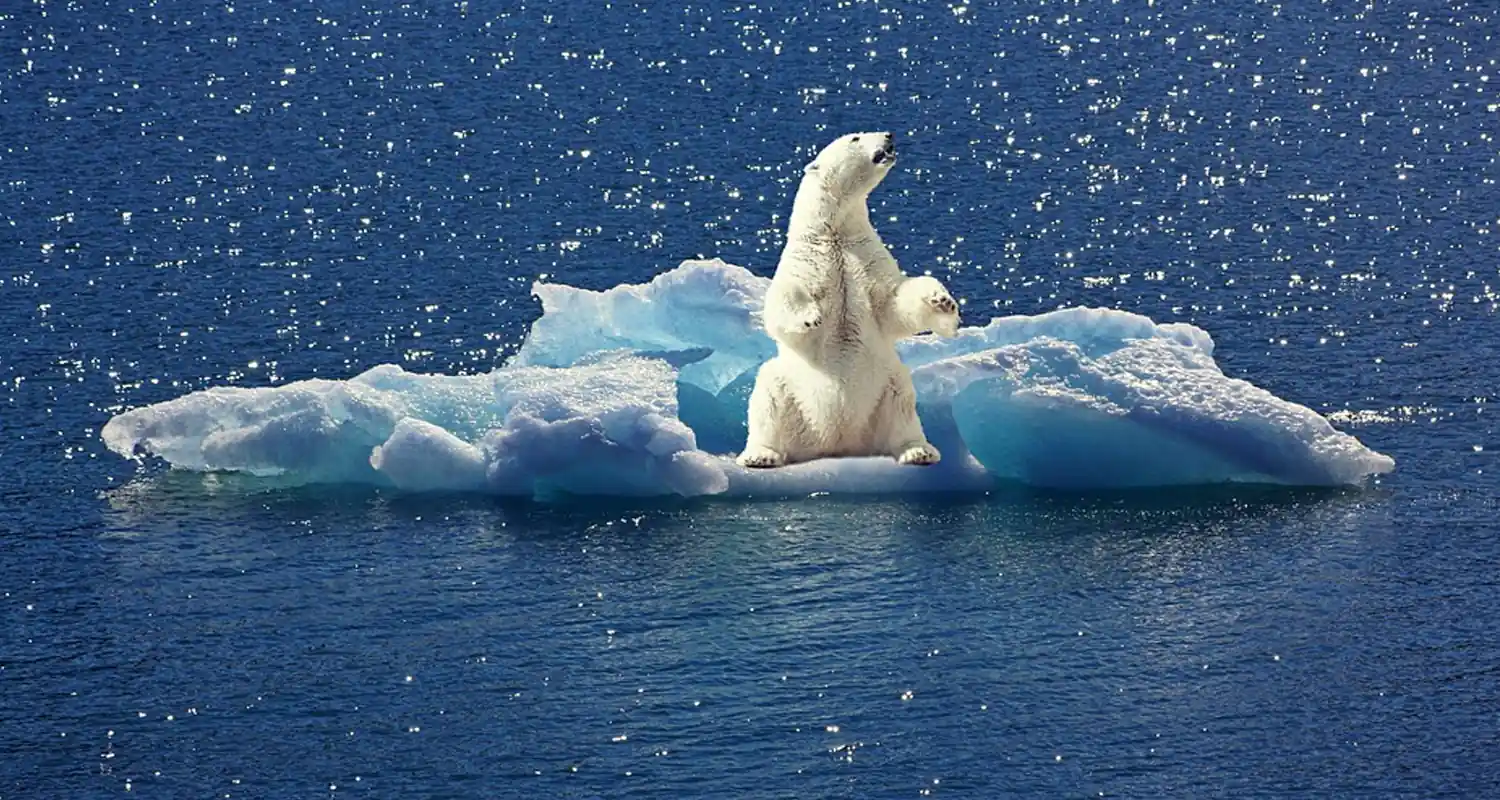 Il cambiamento climatico cause effetti e soluzioni