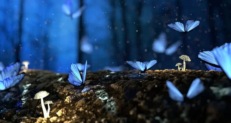 Sognare una farfalla che si posa addosso, cosa significa