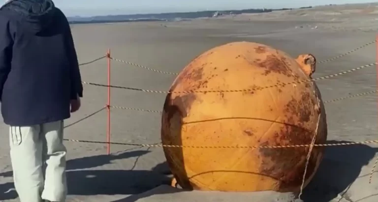 Risolto il mistero della sfera arenata sulla spiaggia in Giappone