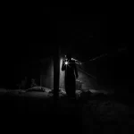 Sente dei rumori in soffitta poi scopre la verita