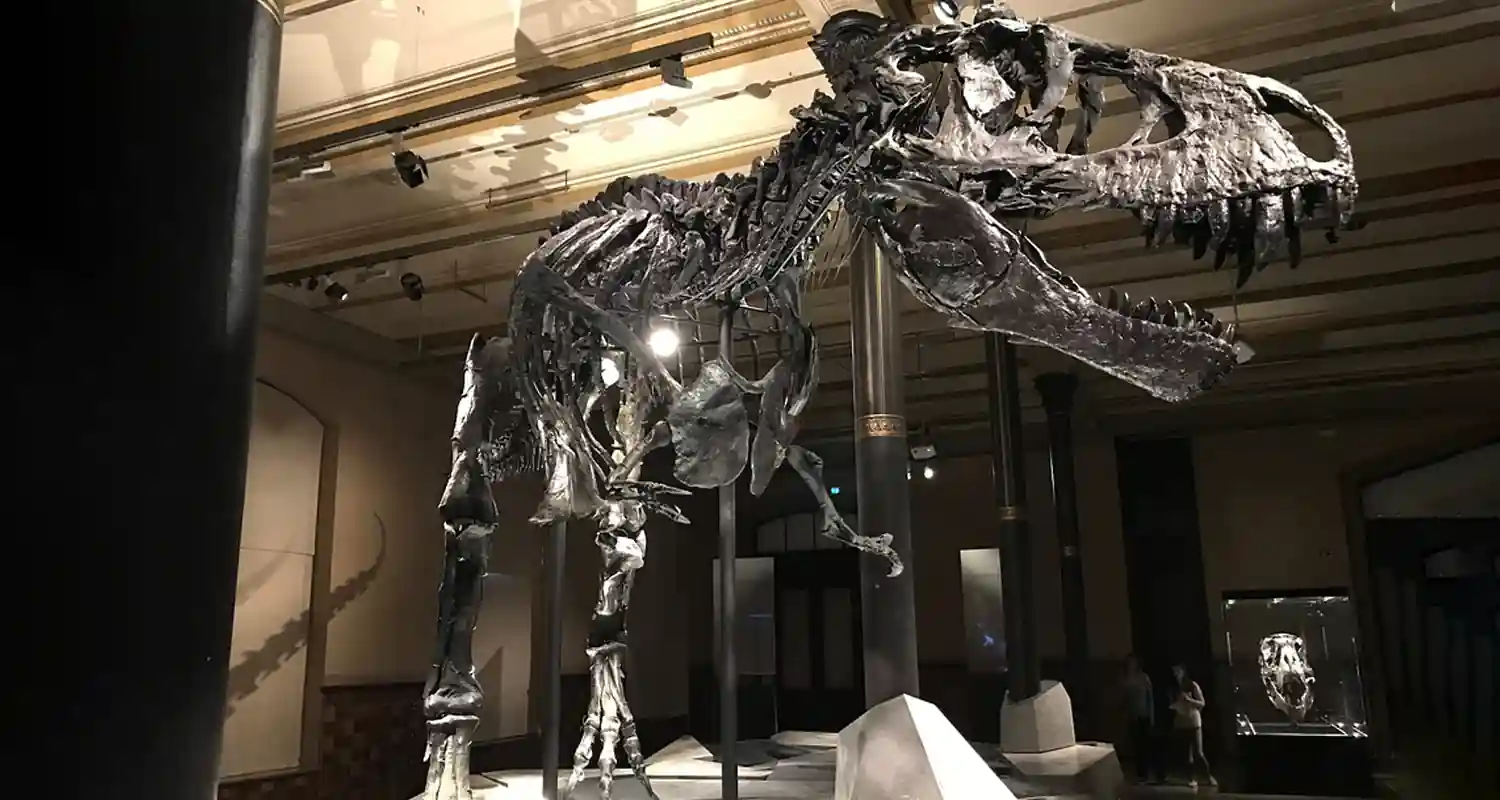Svizzera T-Rex venduto per 5 milioni di euro