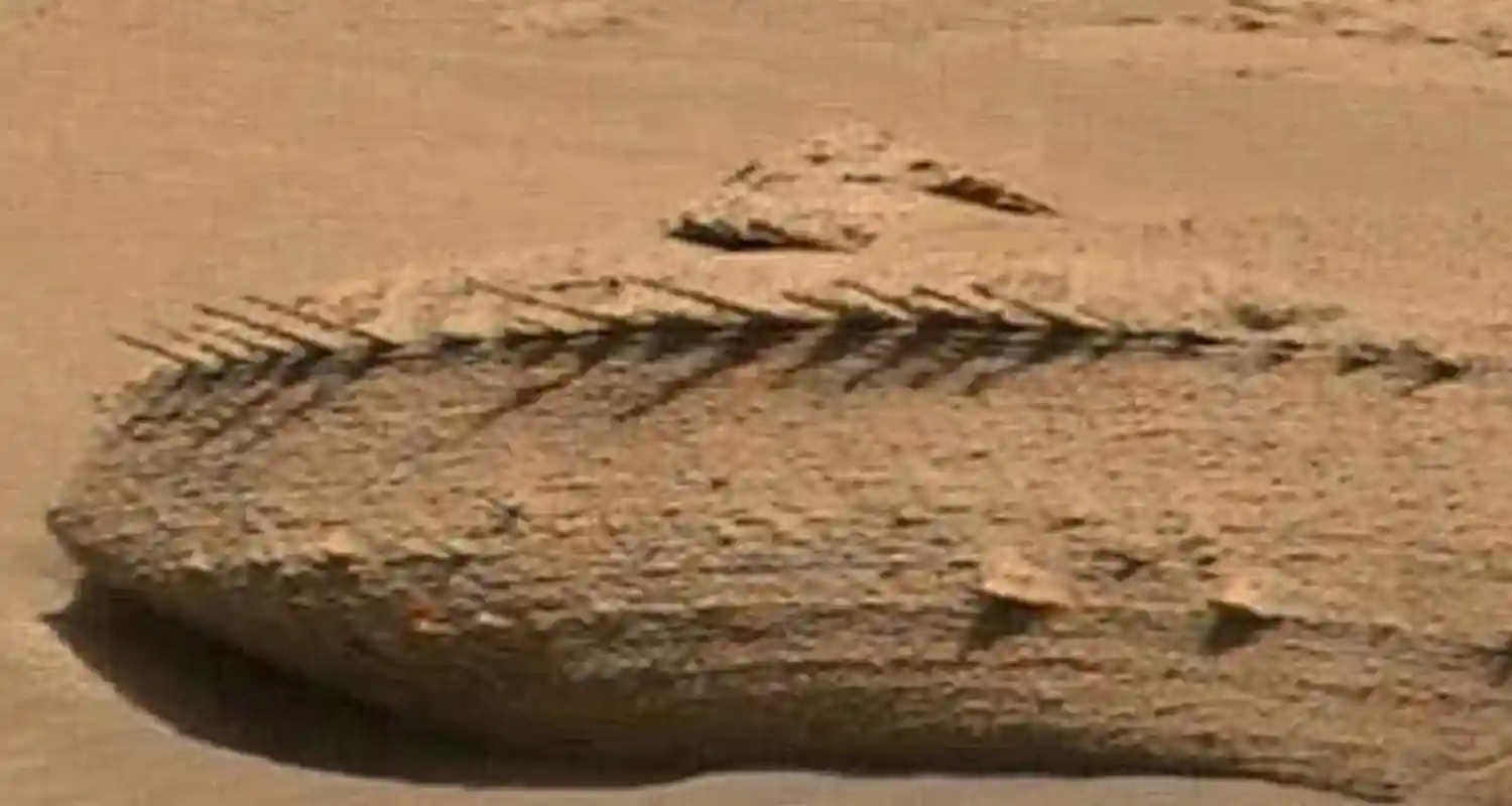 ce uno scheletro su Marte le foto di Curiosity