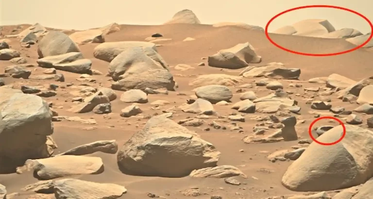 Ancora una volta strane strutture su Marte, prove reali di vita?