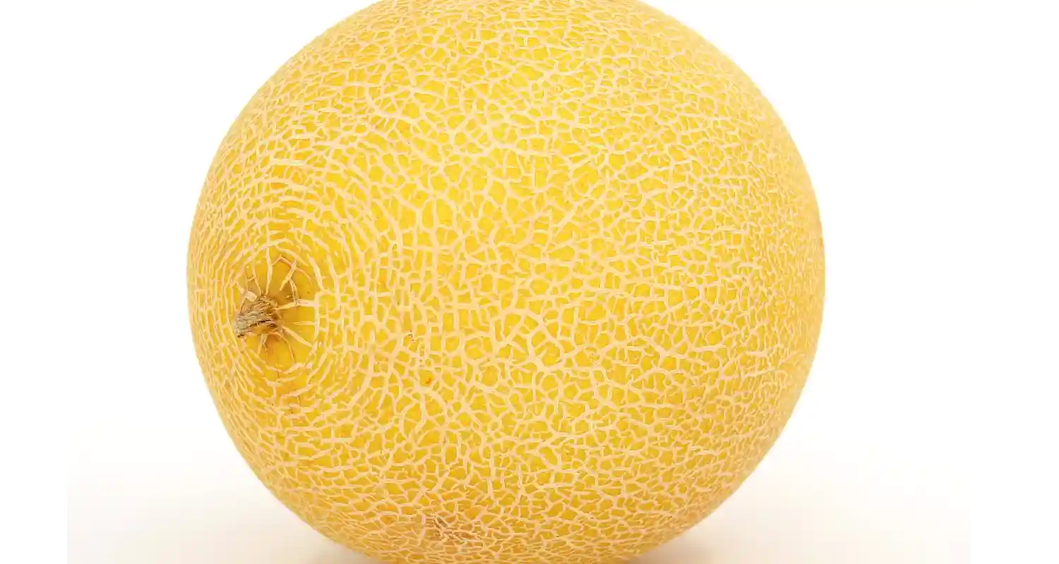 I giapponesi creano il melone al limone