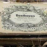Beethoven Analisi DNA dei Capelli Rivela Segreti sulla Sua Salute e Vita Personale