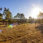 La Zona del Silenzio Tra Scienza e Mistero