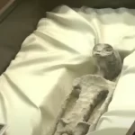 La verita sui corpi alieni presentati in Messico