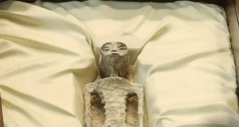 I corpi alieni presentati in Messico potrebbero essere reali