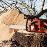 Il vero utilizzo delle motoseghe perche sono state inventate