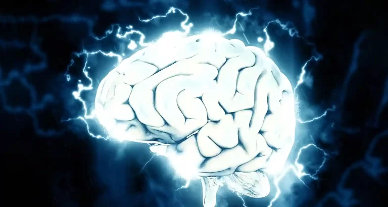 Il mistero del cervello che pulsa oltre la morte: la scienza indaga l’ultima frontiera
