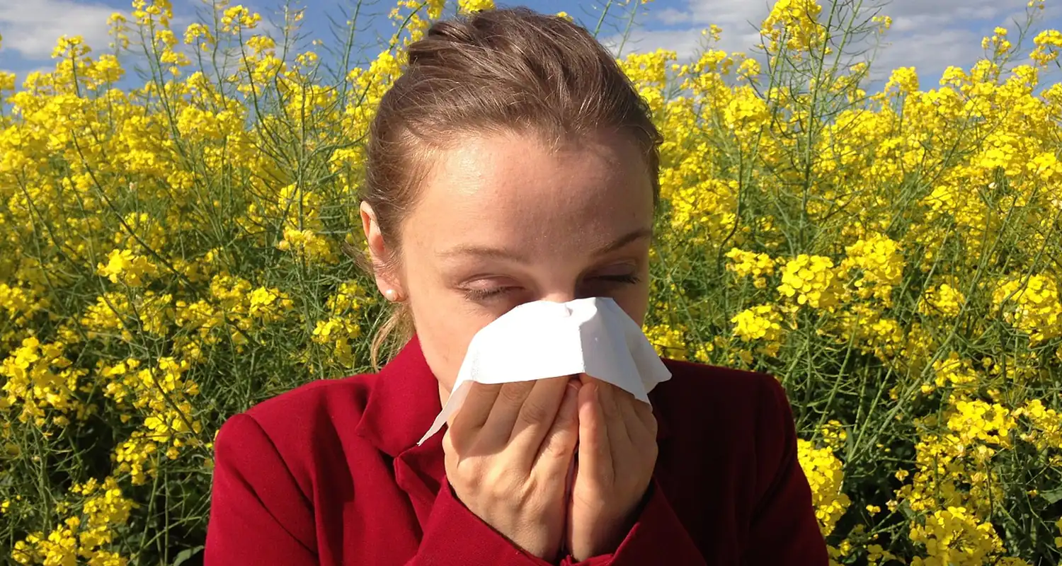 Allergia alle porte Come evitare il polline in casa