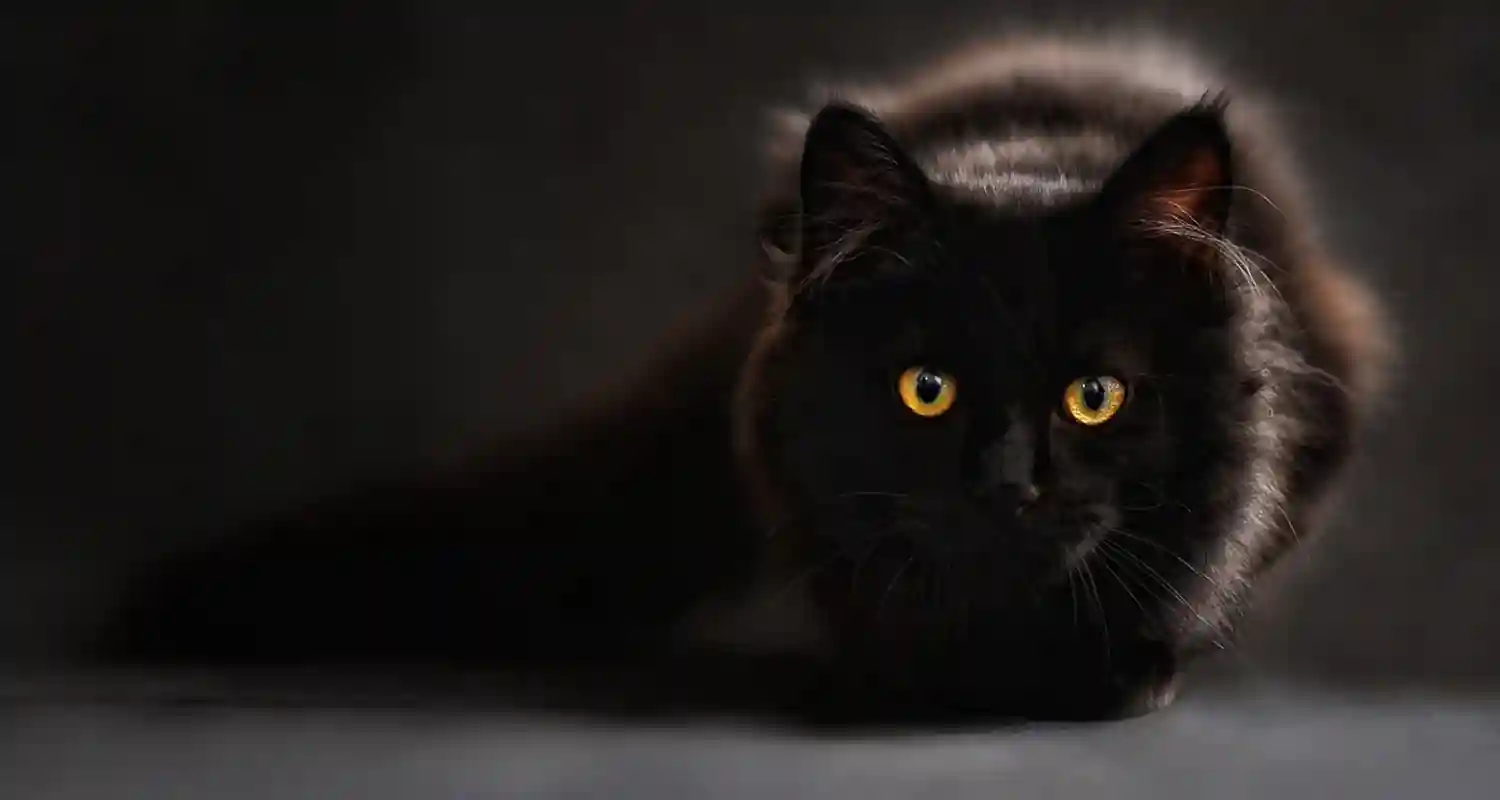 Fatti storici che forse conviene non conoscere