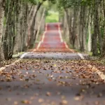 Gli eventi casuali non esistono tutto gia segnato