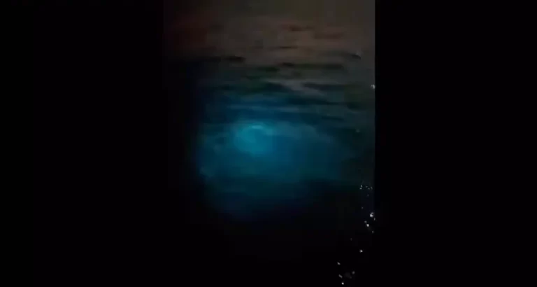Il mistero della luce proveniente dal fondo del Golfo del Messico