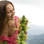 La Germania legalizza la cannabis ed escono i detenuti dal carcere