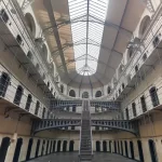 Condannata a 2 mesi di carcere per aver nutrito troppo il suo cane