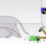 Il Gatto di Schrödinger Il Paradosso che Sfida il Buonsenso