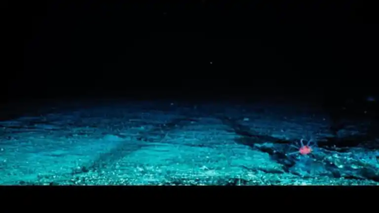 Il Mistero del Lago Vostok Un Oceano Sconosciuto Sotto i Ghiacci de Antartide