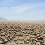 Allarme Il Sistema di Protezione della Vita sulla Terra è a Rischio