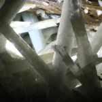 La Foresta di Cristallo Le Straordinarie Grotte di Naica in Messico