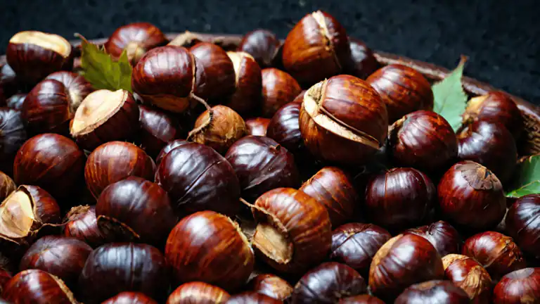 World Conker Championship la guerra delle castagne