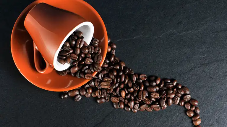 Il caffè macinato può contenere frammenti di insetti